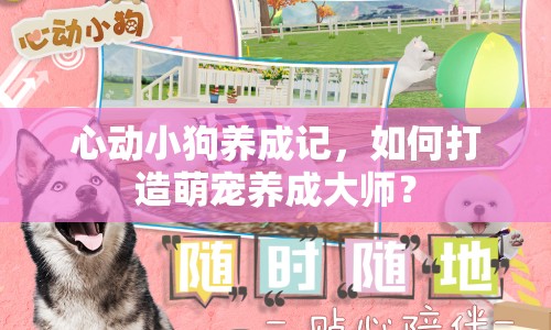 心動小狗養(yǎng)成記，如何打造萌寵養(yǎng)成大師？