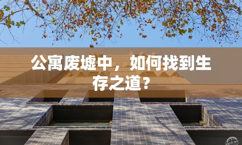 公寓廢墟中，如何找到生存之道？