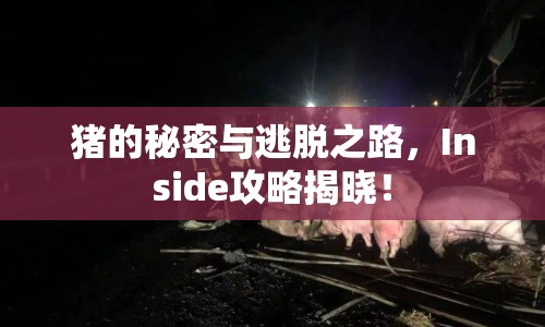 豬的秘密與逃脫之路，Inside攻略揭曉！