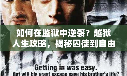 如何在監(jiān)獄中逆襲？越獄人生攻略，揭秘囚徒到自由的艱難旅程！