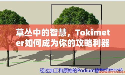 草叢中的智慧，Tokimeter如何成為你的攻略利器？