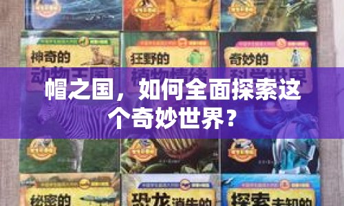 帽之國(guó)，如何全面探索這個(gè)奇妙世界？