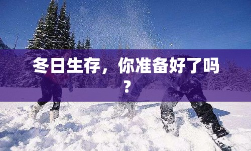冬日生存，你準(zhǔn)備好了嗎？