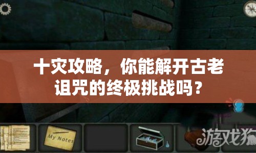 十災(zāi)攻略，你能解開(kāi)古老詛咒的終極挑戰(zhàn)嗎？