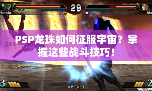 PSP龍珠如何征服宇宙？掌握這些戰(zhàn)斗技巧！