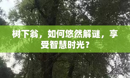 樹下翁，如何悠然解謎，享受智慧時(shí)光？