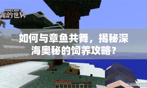 如何與章魚共舞，揭秘深海奧秘的飼養(yǎng)攻略？