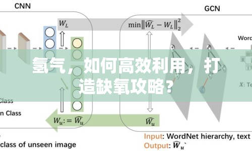 氫氣，如何高效利用，打造缺氧攻略？