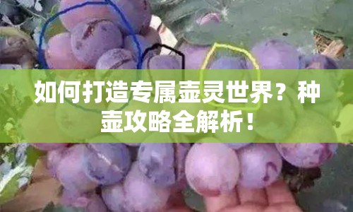 如何打造專屬壺靈世界？種壺攻略全解析！