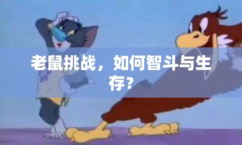 老鼠挑戰(zhàn)，如何智斗與生存？