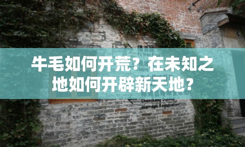 牛毛如何開(kāi)荒？在未知之地如何開(kāi)辟新天地？