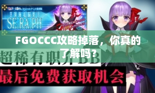 FGOCCC攻略掉落，你真的了解嗎？