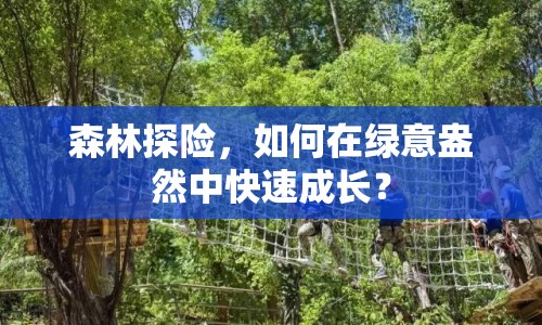 森林探險(xiǎn)，如何在綠意盎然中快速成長？