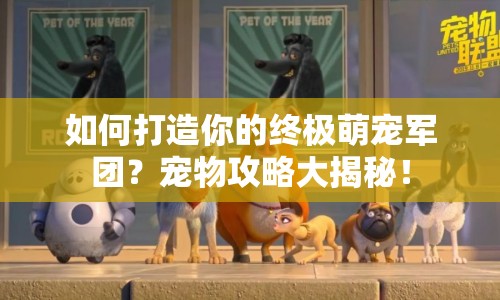 如何打造你的終極萌寵軍團(tuán)？寵物攻略大揭秘！