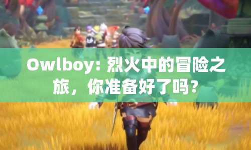 Owlboy: 烈火中的冒險(xiǎn)之旅，你準(zhǔn)備好了嗎？