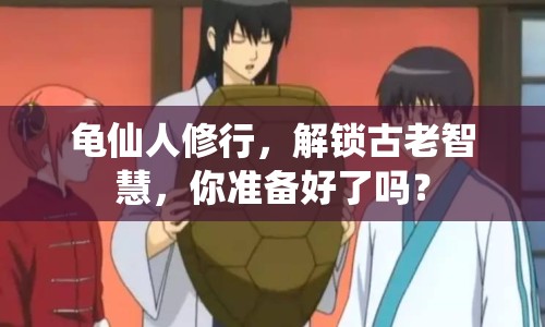 龜仙人修行，解鎖古老智慧，你準(zhǔn)備好了嗎？