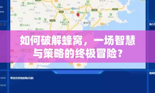 如何破解蜂窩，一場智慧與策略的終極冒險？