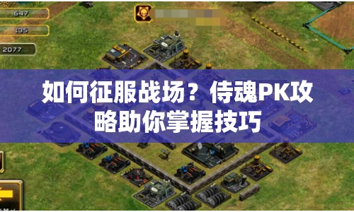 如何征服戰(zhàn)場(chǎng)？侍魂P(guān)K攻略助你掌握技巧