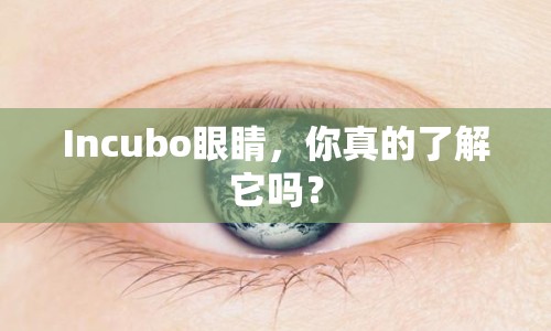 Incubo眼睛，你真的了解它嗎？