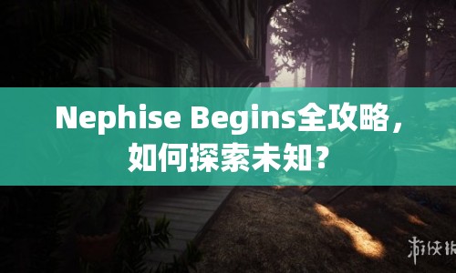 Nephise Begins全攻略，如何探索未知？