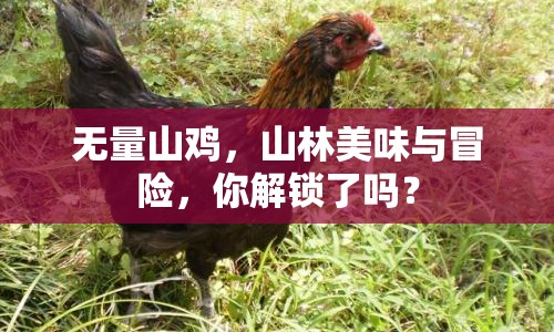 無量山雞，山林美味與冒險，你解鎖了嗎？