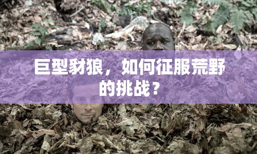 巨型豺狼，如何征服荒野的挑戰(zhàn)？