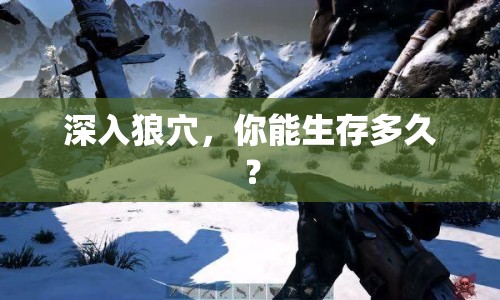 深入狼穴，你能生存多久？