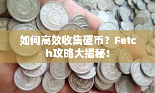 如何高效收集硬幣？Fetch攻略大揭秘！