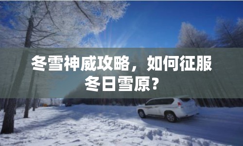 冬雪神威攻略，如何征服冬日雪原？