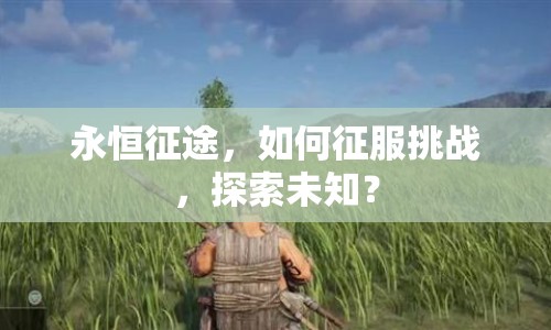 永恒征途，如何征服挑戰(zhàn)，探索未知？