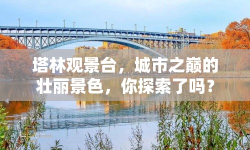 塔林觀景臺，城市之巔的壯麗景色，你探索了嗎？