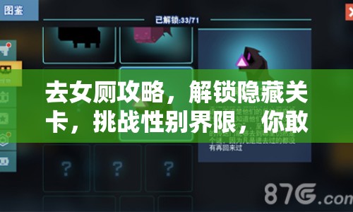 去女廁攻略，解鎖隱藏關(guān)卡，挑戰(zhàn)性別界限，你敢嗎？