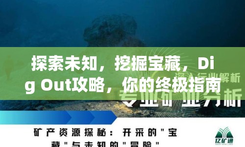 探索未知，挖掘?qū)毑?，Dig Out攻略，你的終極指南？