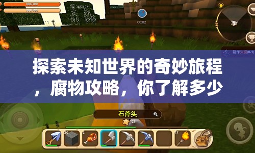 探索未知世界的奇妙旅程，腐物攻略，你了解多少？