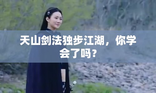 天山劍法獨步江湖，你學會了嗎？