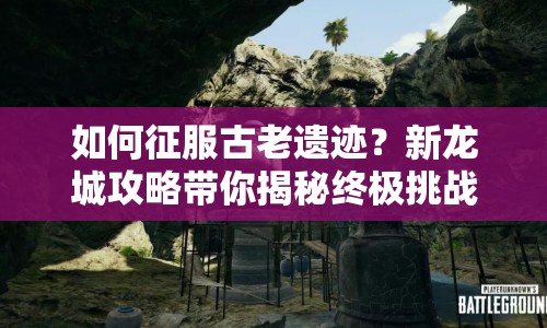 如何征服古老遺跡？新龍城攻略帶你揭秘終極挑戰(zhàn)！