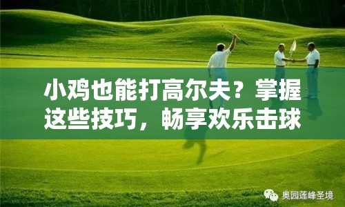 小雞也能打高爾夫？掌握這些技巧，暢享歡樂擊球體驗！
