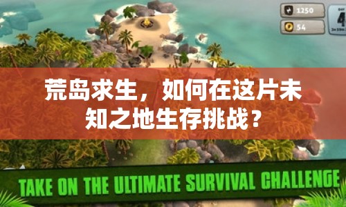 荒島求生，如何在這片未知之地生存挑戰(zhàn)？