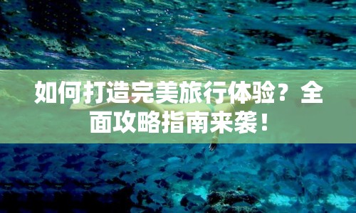 如何打造完美旅行體驗？全面攻略指南來襲！