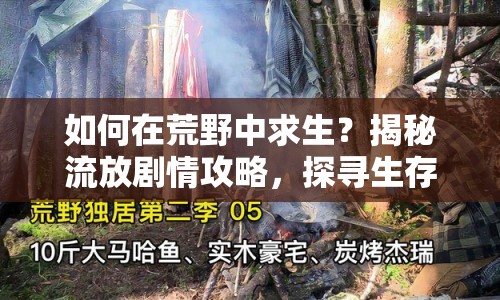 如何在荒野中求生？揭秘流放劇情攻略，探尋生存與救贖之路！