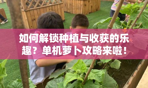 如何解鎖種植與收獲的樂趣？單機蘿卜攻略來啦！