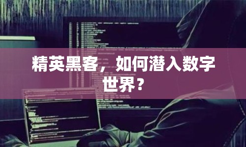 精英黑客，如何潛入數(shù)字世界？
