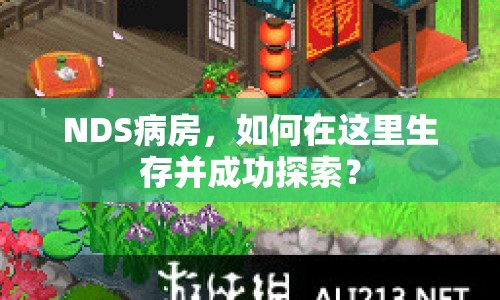 NDS病房，如何在這里生存并成功探索？