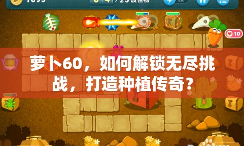 蘿卜60，如何解鎖無盡挑戰(zhàn)，打造種植傳奇？