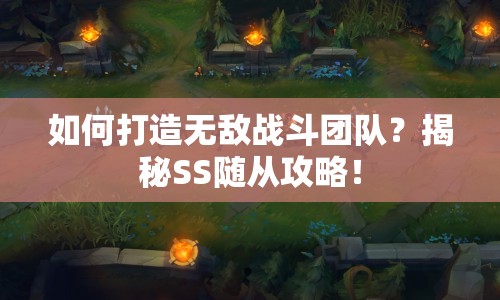 如何打造無敵戰(zhàn)斗團(tuán)隊？揭秘SS隨從攻略！