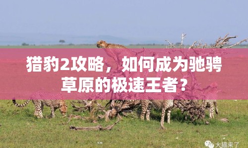 獵豹2攻略，如何成為馳騁草原的極速王者？