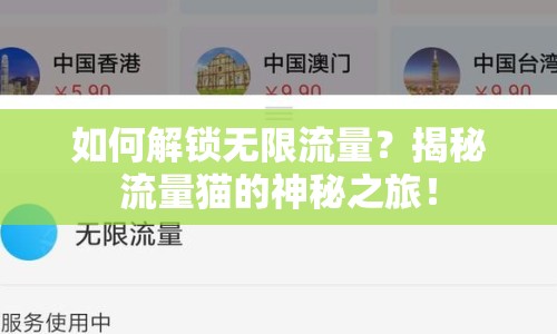 如何解鎖無限流量？揭秘流量貓的神秘之旅！