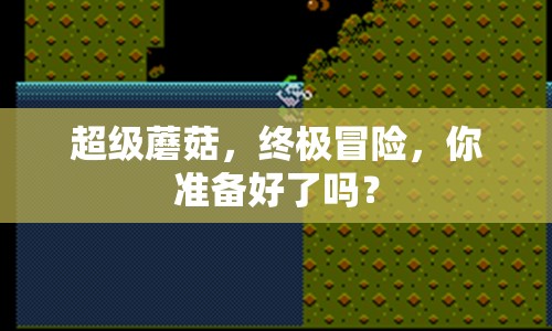 超級(jí)蘑菇，終極冒險(xiǎn)，你準(zhǔn)備好了嗎？