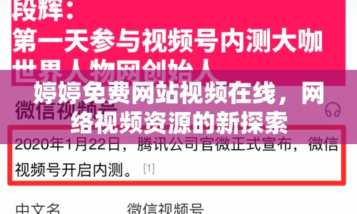 婷婷免費(fèi)網(wǎng)站視頻在線，網(wǎng)絡(luò)視頻資源的新探索