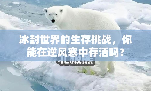 冰封世界的生存挑戰(zhàn)，你能在逆風寒中存活嗎？